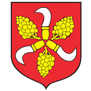 Gmina Głogówek