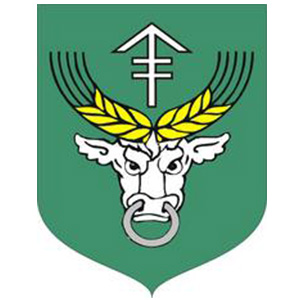 Gmina Rudniki